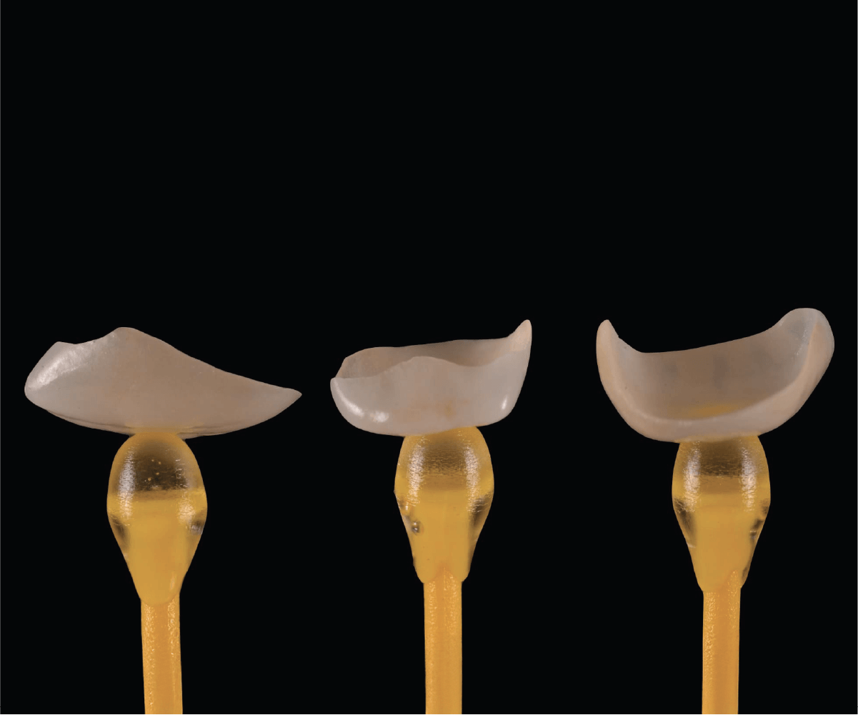 Tre faccette dentali su supporti gialli